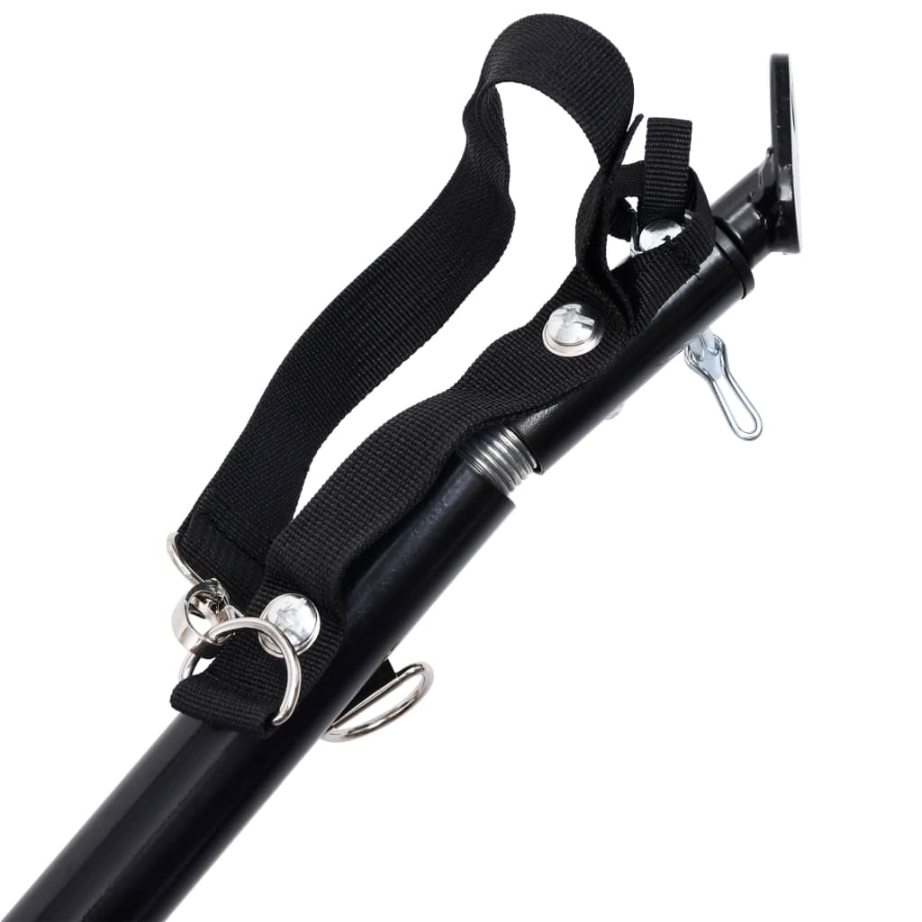 2-in-1 lemmikkikärry pyörään/juoksurattaat punainen ja musta - Harrastajankoti.fi