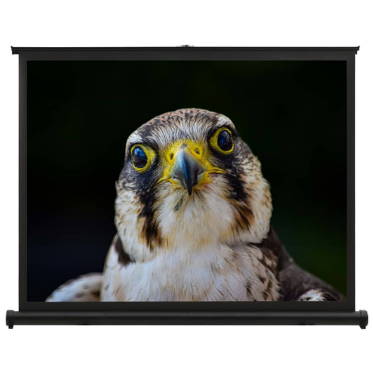 Valkokangas työpöydälle 40" 4:3 - Harrastajankoti.fi