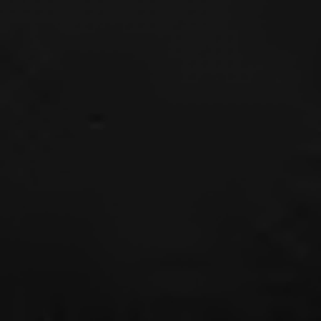 Käytävämatto BCF musta kuviolla 60x450 cm - Harrastajankoti.fi