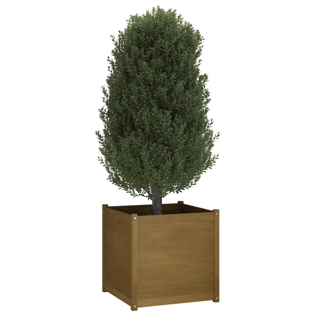Puutarhan kukkalaatikko hunajanruskea 70x70x70 cm täysi mänty - Harrastajankoti.fi