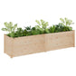 Puutarhan kukkalaatikko 200x50x50 cm täysi mänty - Harrastajankoti.fi