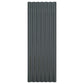 Kattopaneeli 12 kpl jauhemaalattu teräs antrasiitti 100x36 cm - Harrastajankoti.fi