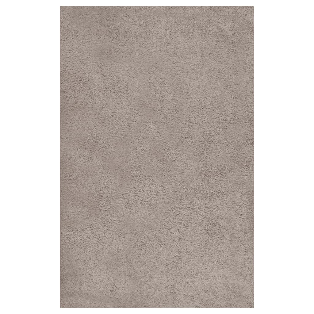 Pörrömatto korkeanukkainen beige 200x290 cm - Harrastajankoti.fi