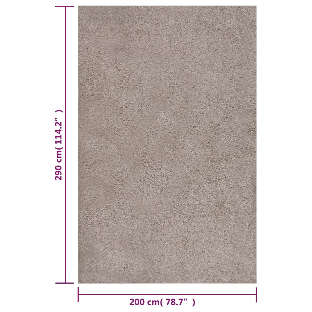 Pörrömatto korkeanukkainen beige 200x290 cm - Harrastajankoti.fi