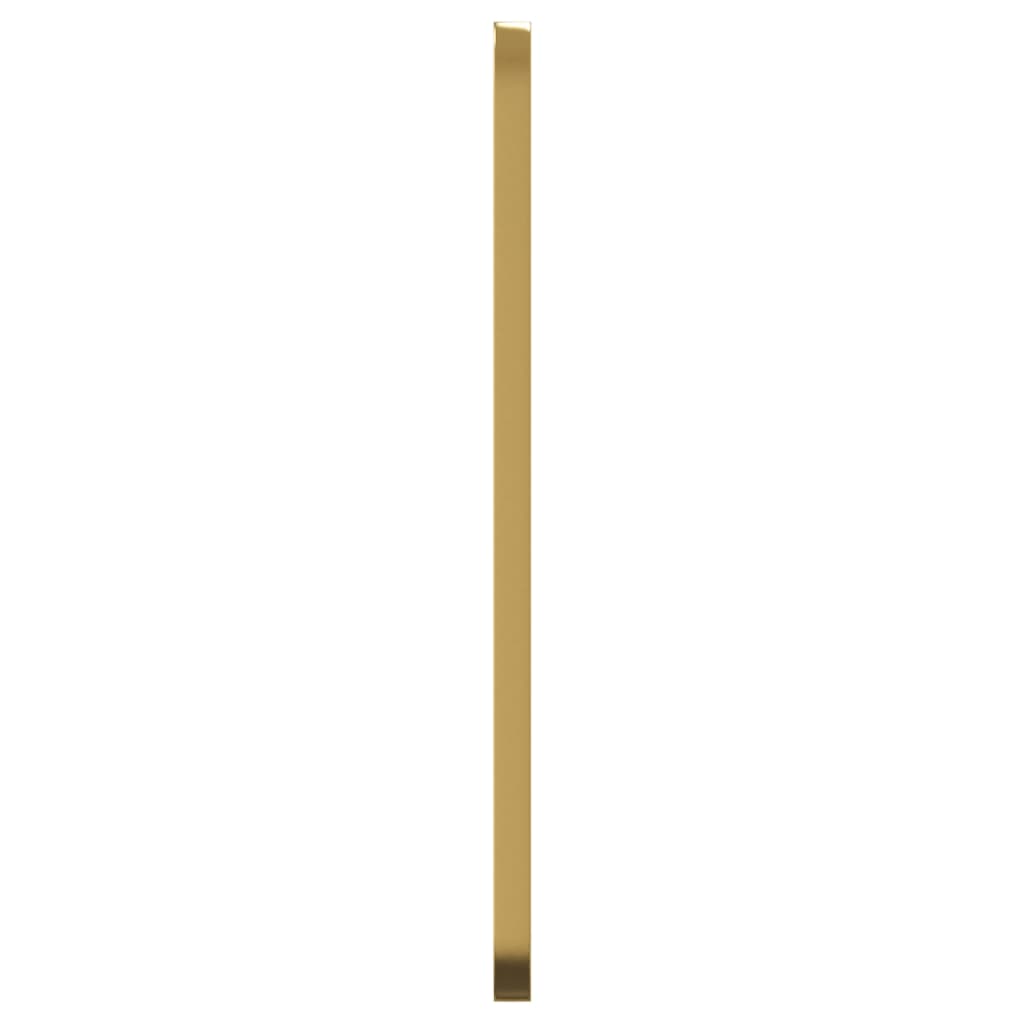 Seinäpeili kulta 30x80 cm suorakulmio - Harrastajankoti.fi